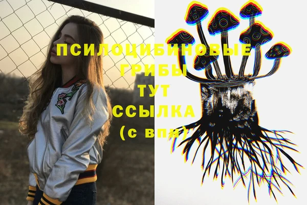 сатива Дмитров