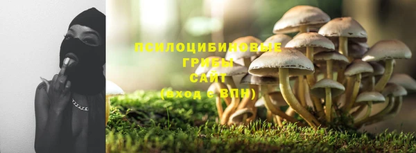 гашишное масло Гусиноозёрск