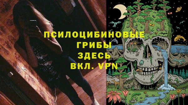 гашишное масло Гусиноозёрск