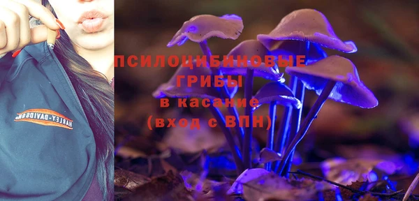 PSILOCYBIN Дмитриев